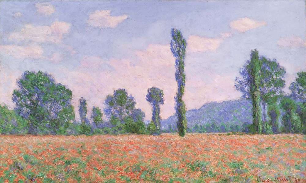 Poppies near the Farm by Juniper Hale